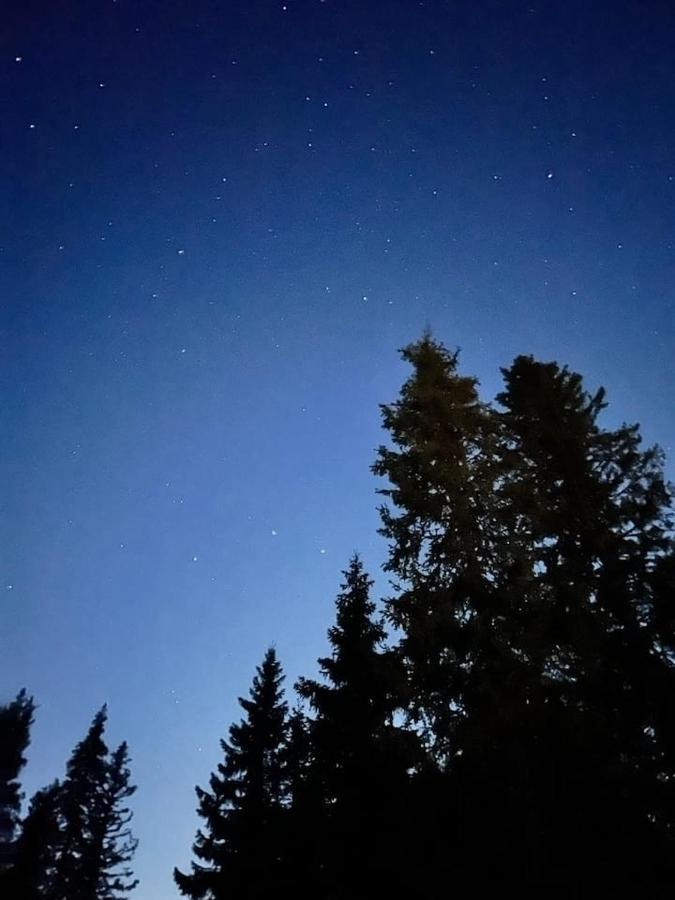 Gemuetliches Blockhaus Im Wald Villa Auktsjaur Buitenkant foto
